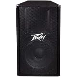 Peavey PV 115 2-Way Speaker