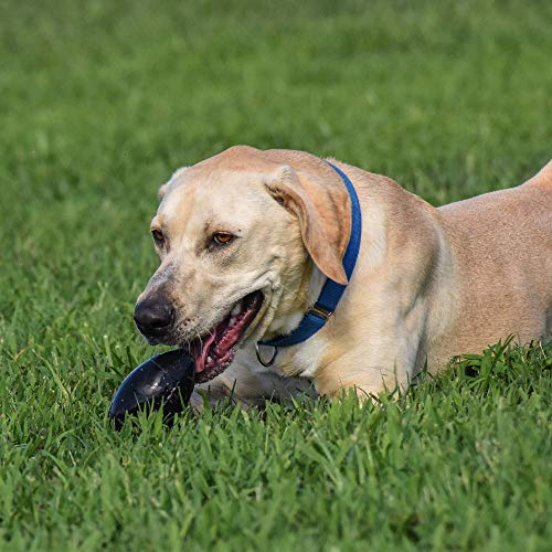 image for Monster K9 Dog Toys Ultra-Durable Football Chew Toy - Lifetime Replace