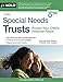 Special Needs Trusts: Protect Your Child's Financial Future