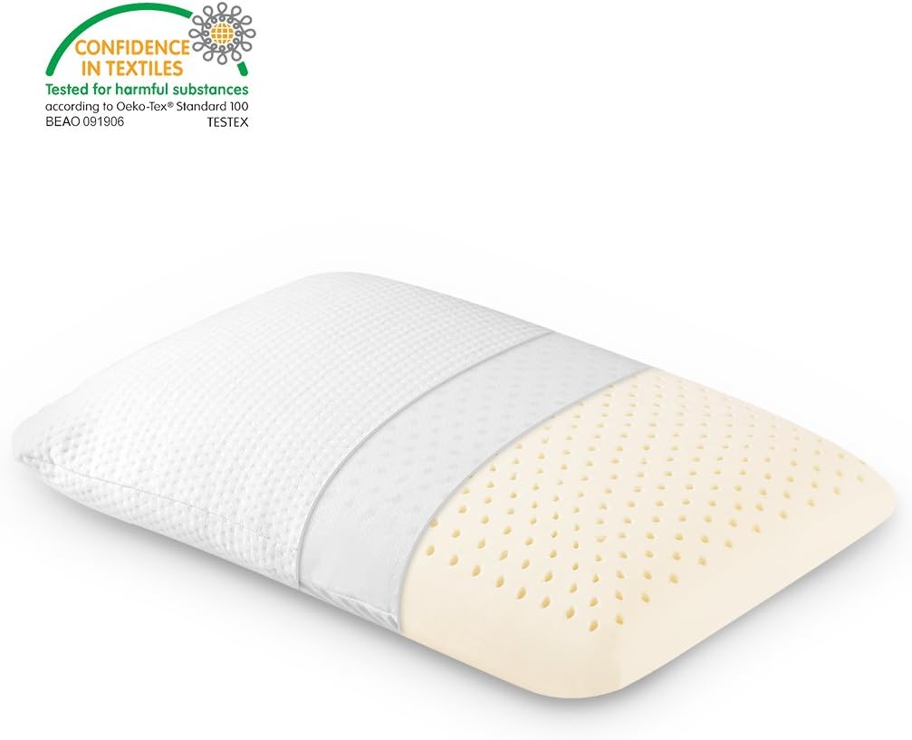 LANGRIA Rectangular Dunlop Natural Latex Pillow with 100 Ventilated