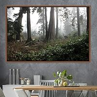 Framed Canvas Wall Art Rustic Woods Brown Dark Dramatic Forest Group Nature Photography Realism - 16x24 inches