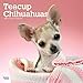Teacup Chihuahuas 2020 12 x 12 Inch Monthly Square Wall Calendar, Animals Small Dog Breeds (English, by