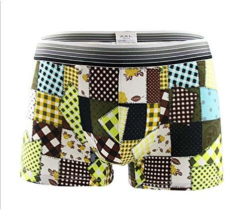 Flae New Arrival Fashion Briefs 5pcs/Lot Mens Brief Mens Bikini Underwear Pant For Men Sexy Underwear
