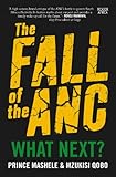 The Fall of the ANC: What Next?