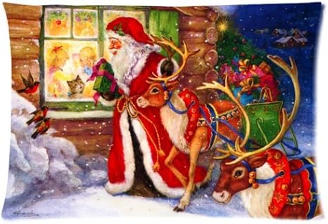 eve pillow protector