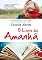 Livro O Livro do Amanhã: Como seria se soubéssemos o que o amanhã nos reserva?