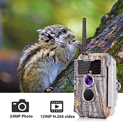 Wireless WiFi Game Camera Trail Deer Cam 24MP 1296P MP4 H.264 Video No