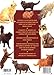 The Illustrated Encyclopedia of Cat Breeds: The Comprehensive Visual Directory of all the World's Cat Breeds, Plus Invaluable Practical Information on Breeding, Training, Care, and Showing