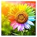 eGoodn 5D Diamond Painting Art Full Drill Round Beads Paint by Number Kit Arts Craft Home Decor, Canvas 15.8 by 15.8 inches, Colorful Sunflower, No Frame