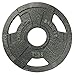 Champion Olympic Grip Plate (5-pound)