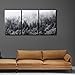 wall26 - 3 Piece Canvas Wall Art - Misty Forests of Evergreen Coniferous Trees in an Ethereal Landscape - Modern Home Art Stretched and Framed Ready to Hang - 16