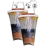 TESCCI Fly catcher Standard Size - 100% Non-Toxic Disposable Outdoor Fly Trap - Designed to Attract Egg-Laying Females - 2/Pack