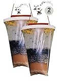 TESCCI Fly catcher Standard Size - 100% Non-Toxic Disposable Outdoor Fly Trap - Designed to Attract Egg-Laying Females (2)