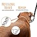 Mighty Paw Slip Collar - Stainless Steel - Weather Resistant - Tarnish Proof - Durable Chain Dog Choke Collars - No Pull Dogs Training - Strong and Premium - Metal Chain (20