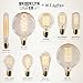Set of 4 Midwood G25 Vintage Filament 40W (E26) Bulbs