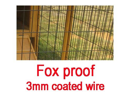 Eggshell Buckingham Poulailler Avec Grillage Soudé Anti Renards