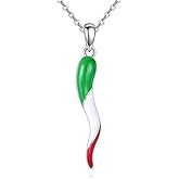 JERWLI Italian Horn Necklace 925 Sterling Silver Cornicello Necklace Amulet Pendant Jewelry Gift for Women