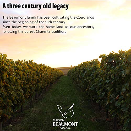 Cognac Maison Beaumont VS – Handgefertigtes Produkt – 5 Jahre in Eichenfässern gelagert – Bild 5