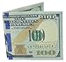 W.I.I Big Bucks Novelty One Hundred Dollar Bill Printed Bi-Fold Wallet, Large