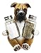 Adorable Hugging Fawn Boxer Dog Decorative Glass Salt Pepper Shakers Holder Resin Figurine