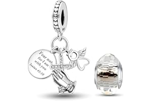 HappyStar 925 Sterling Silver Charms for Pandora Charms Bracelets and Necklaces Beads Charms Jewelry Mother's Day Gift for Wo