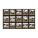 Elizabeth's Studio Headin' Home Blocks 36 In. Panel Black Fabric