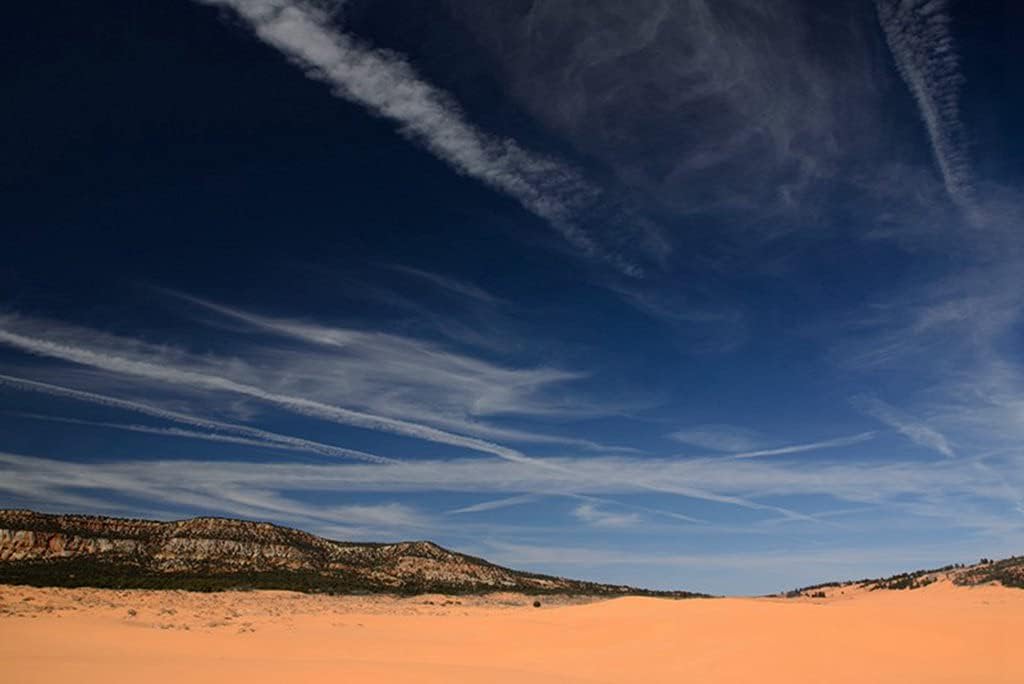 Amazon Co Jp 特大 ポスター コーラルピンク砂丘州立公園砂丘ユタ州アメリカ合衆国 壁紙ウォールステッカーポスター 594x4mm Generic