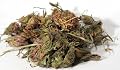 Clover, Red Whole, Dried Herb, 1 Oz