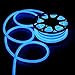 DELight Flexible 50ft Blue LED Neon Rope Light 1200pcs bulbs Christmas Decor Holiday Party Decoration Lighting