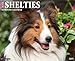 Just Shelties 2015 Wall Calendar