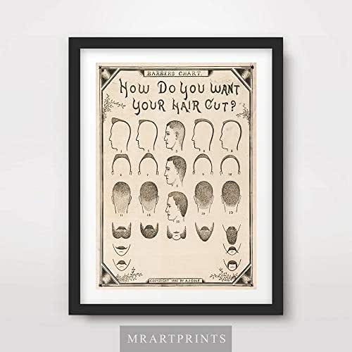 Amazon.com: VINTAGE MAN MENS HAIR BEARD STYLE CHART 