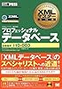 XMLマスター教科書 プロフェッショナル(データベース)