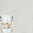 VASARI Lime Plaster & Paint | LIME PAINT | Made from Natural Lime and Powdered Marble | color: Golden Grey #23 | size: 5 Gallon
