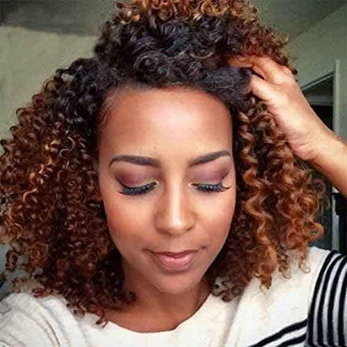 RUISENNA Afro Kinky Wig Short Curly Wigs Black and Brown Ombre Wigs for Women 100% Heat Resistant Fiber Synthetic Wigs