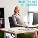 Lumbar Support Pillow for Office Chair and Car Back Support - Double Adjustable Straps and Breathable Mesh for All-Day Comfort, Lower Back and Sciatica Pain Relief