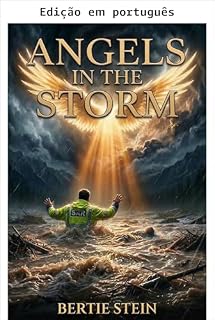 Livro Anjos na tempestade (Anjos entre nós Livro 3)