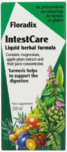 Floradix IntestCare - 250ml Bottle(s)