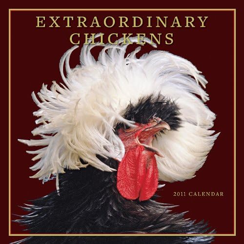 Download Extraordinary Chickens 2011 Calendar PDF