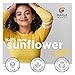 Sunflower Oil for Hair Skin and Nails - Anti Aging Skin Care with Vitamin E Oil for Skin and Hair Care - Pure Sunflower Oil Skin Moisturizer for Dry Skin and Carrier Oil for Essential Oils Mixing