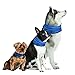 Novel Brands K9 Chill Dog Cooling Collar (Small/Medium 8