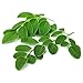 NATERA Moringa Powder Full with Nutrients Such as Calcium, Iron, Vitamins, Minerals, Anti-Oxidants