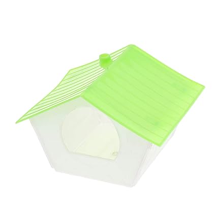 B Blesiya Petit Nichoir Délevage Pour Oiseaux Boîte De Cage