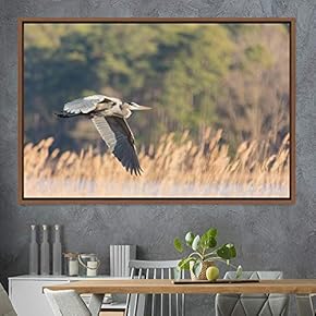 signwin Framed Canvas Wall Art Soaring Bird Aerial...