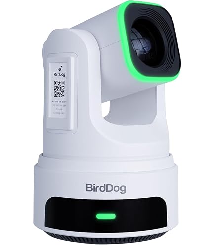 Amazon.com : BirdDog Eyes P100 1080P Full NDI PTZ Camera with SDI