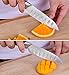 Paring Knife Fruit Knife Classic 3.5 Inch Premium Stainless Steel Spear Point Non-slip Handle Good at Peeling Slicing Cutting for Kitchen with Gift Carry Case …