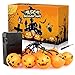 Growsland Halloween String Lights Pumking Light Talking Halloween Decorations Battery Operated Sensing Control 10 LED 10ft Indoor & Outdoor Party Holiday Decor Lights
