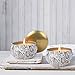 LA JOLIE MUSE Soy Candles Vanilla Coconut Scented 2 Pack, 100% Natural Vegan Wax Travel Tins, Gift Candles