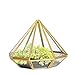 Handmade Gold Open Glass Geometric Terrarium Brass Diamond Succulent Fern Moss Plant Display Container Balcony Small Planter Indoor Centerpiece for Coffee Tabletop Decoration (NO Plants)