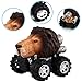 Pull Back Animal Car, Car Toy with Big Tire Wheel(6 Pack) For 3+ Years Old Boys Girls, Monster Vehicle Playset Preschool Learning Birthday, Jungle Themed Party Favors Creative Gifts for Kids Children