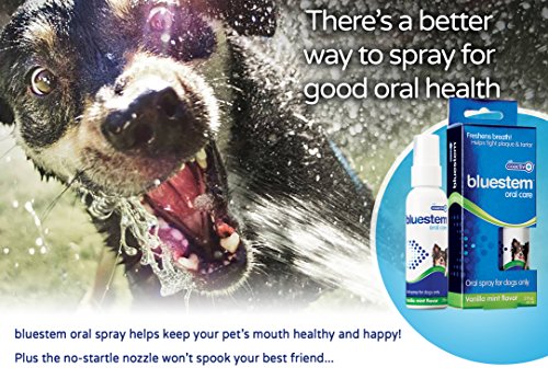 Dog Oral Spray Breath Freshener: Pet Dental Teeth & Mouth Cleaning Spray That Treats All Dogs Bad Breath Smell When Breathing. Tooth Tartar + Plaque Cleaner Remedy. Small Mint Flavor Remover for Pets - Thumbnail 6